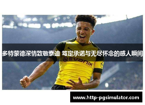 多特蒙德深情致敬泰迪 笃定承诺与无尽怀念的感人瞬间