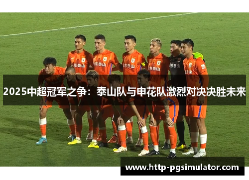 2025中超冠军之争：泰山队与申花队激烈对决决胜未来