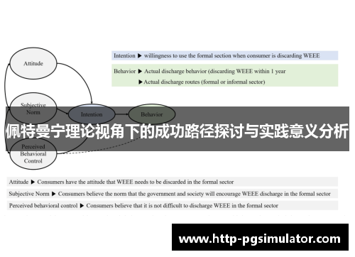 佩特曼宁理论视角下的成功路径探讨与实践意义分析