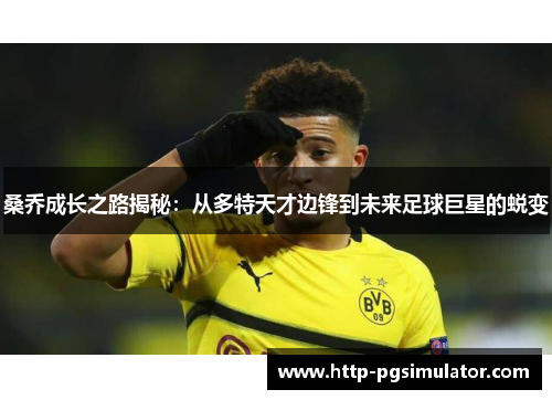 桑乔成长之路揭秘:从多特天才边锋到未来足球巨星的蜕变 桑乔成长之路揭秘:从多特天才边锋到未来足球巨星的蜕变