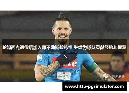 哈姆西克退役后加入那不勒斯教练组 继续为球队贡献经验和智慧 哈姆西克退役后加入那不勒斯教练组 继续为球队贡献经验和智慧